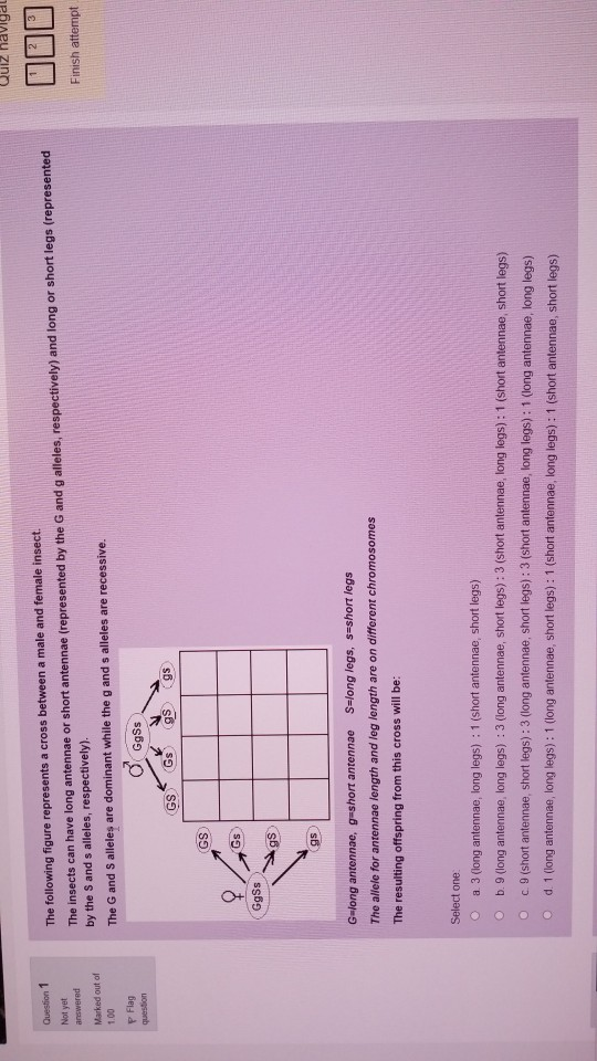 Solved The following figure represents a cross between a | Chegg.com
