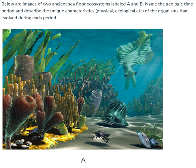 Solved Below are images of two ancient sea floor ecosystems | Chegg.com