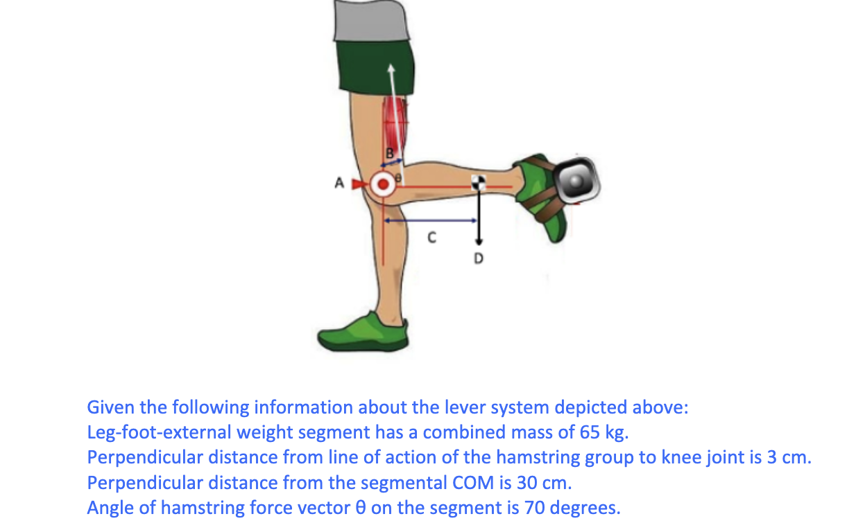 Solved А Given the following information about the lever | Chegg.com