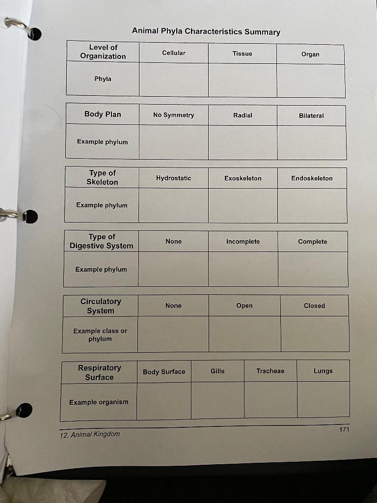 Solved Animal Phyla Characteristics Summary Level Of 