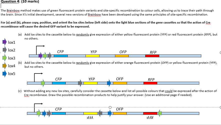 Solved what is the answer to question a using the lox given | Chegg.com