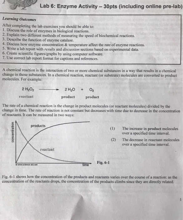 Lab 6 Enzyme Activity30pts (including online