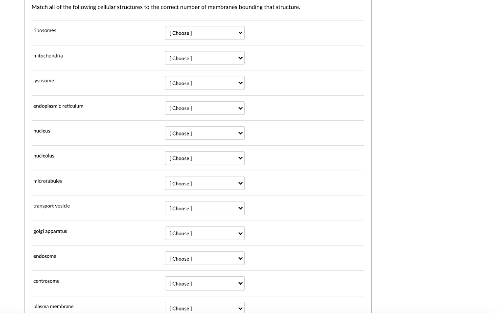 Solved Match all of the following cellular structures to the | Chegg.com