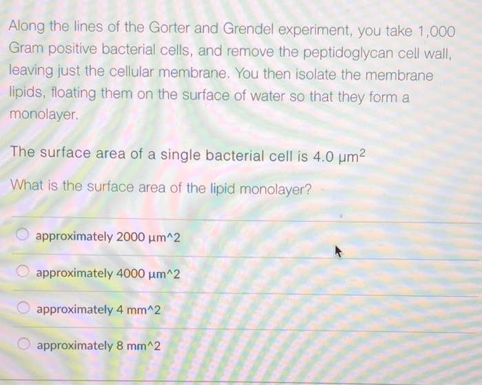 gorter and grendel experiment