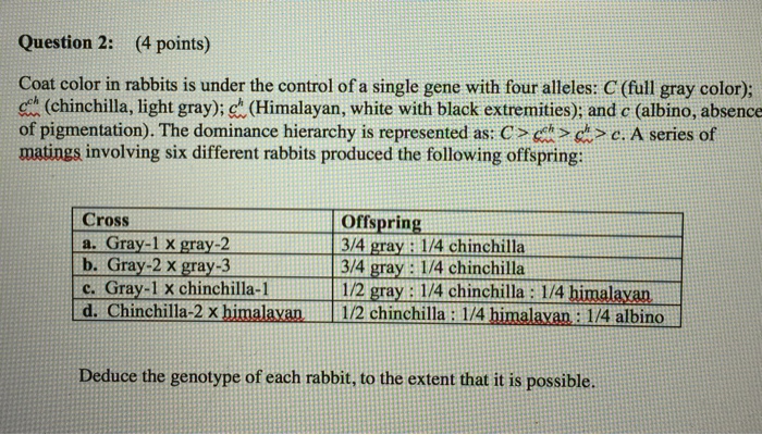 Solved Coat color in rabbits is under the control of a | Chegg.com