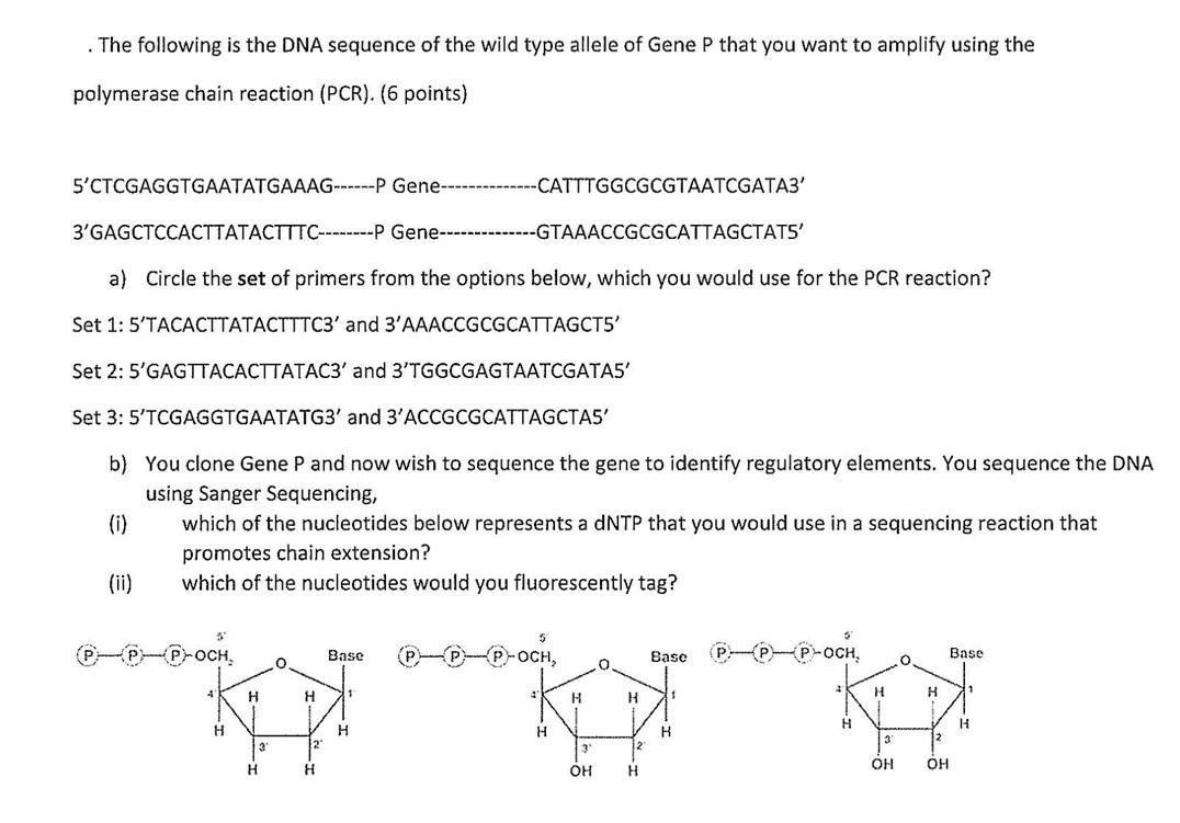 Solved . The following is the DNA sequence of the wild type | Chegg.com
