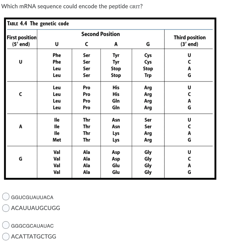 Solved The question is asking what mRNA sequence so ignore | Chegg.com