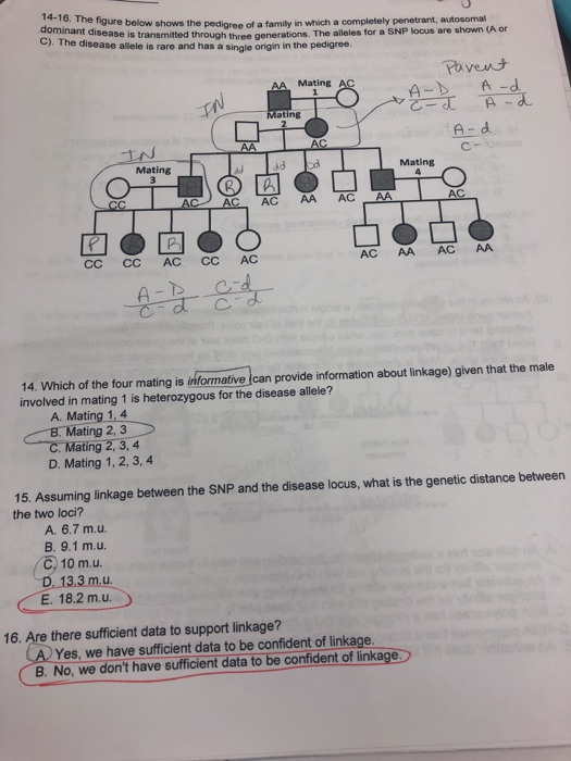 Solved 14-16. The figure below shows the pedigree of a | Chegg.com