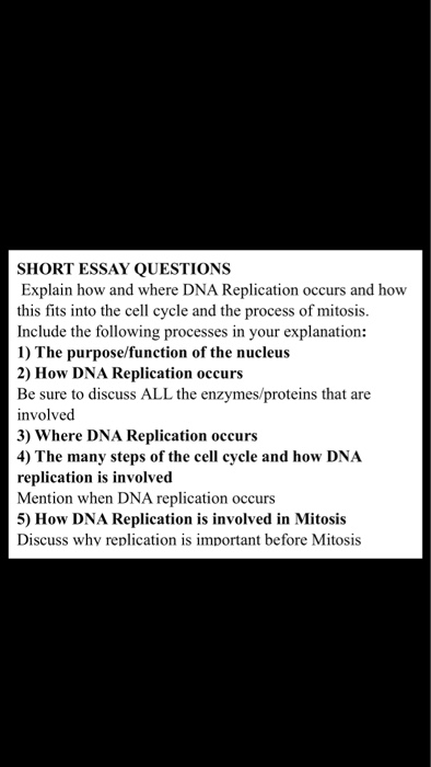 mitosis essay grade 10 pdf mitosis essay questions