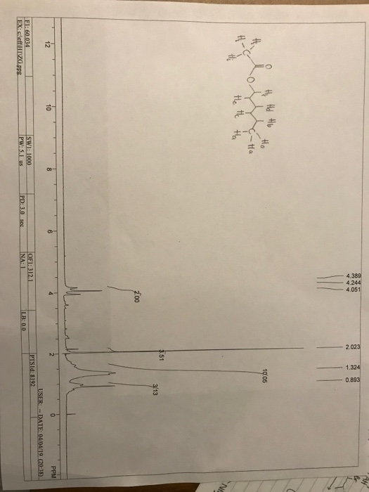 Solved Fischer esterification of nhexanol and acetic acid. | Chegg.com
