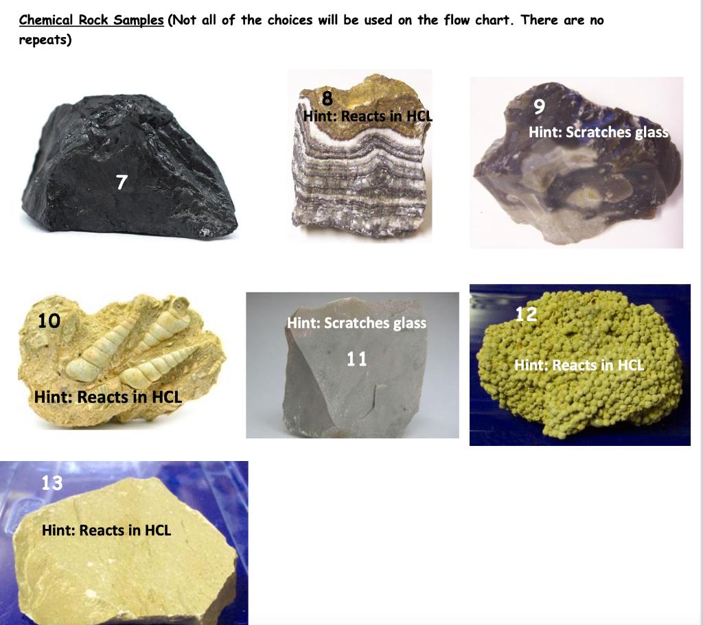 solved-there-are-13-sedimentary-rocks-for-you-to-identify-chegg
