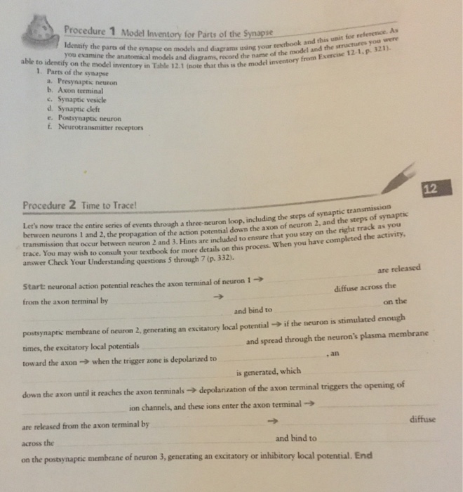 Solved Procedure 1 Model Inventory for Parts of the Synapze | Chegg.com