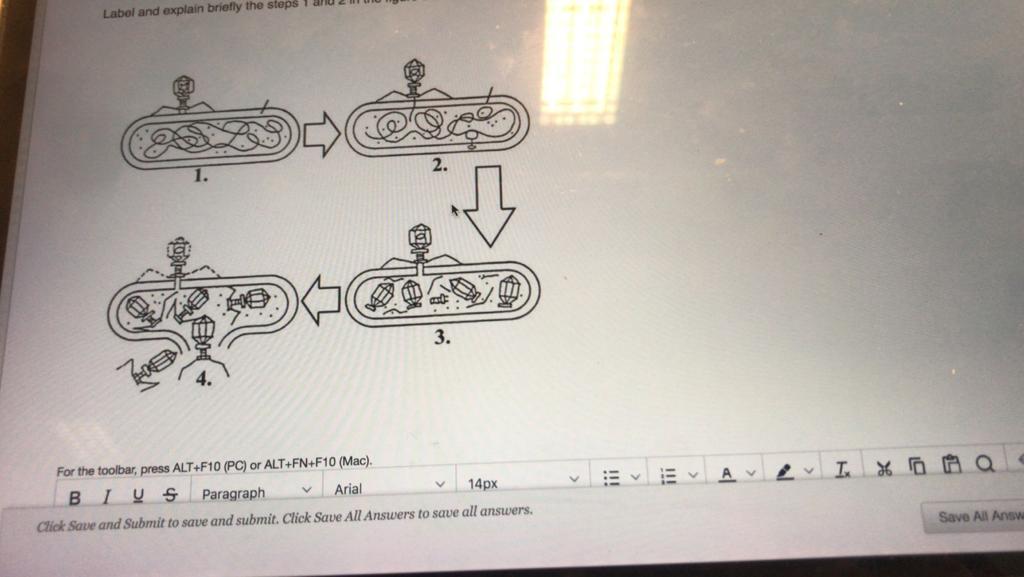 Solved Q1: Label and explain briefly the steps 1 and 2 in | Chegg.com