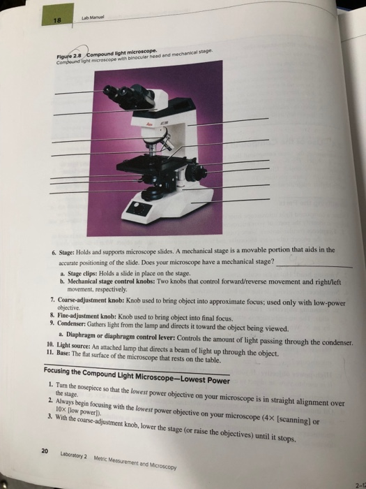 Solved Lab Manual 18 Figure 2.8 Compound light microscope. | Chegg.com