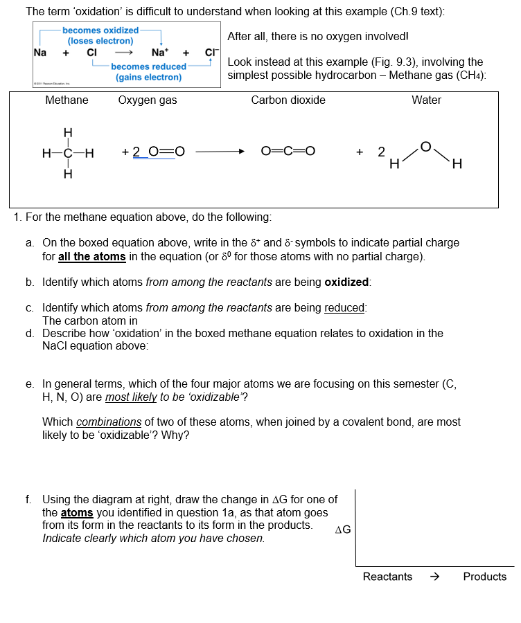 Solved The term 'oxidation' is difficult to understand when | Chegg.com