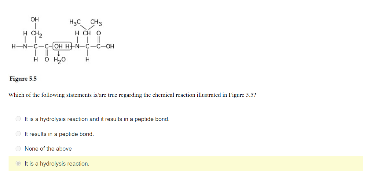 Solved OH H3C CH3 H CH 0 H CH2 H-N-C-C-OH HEN-C-C-OH 1 1 H | Chegg.com