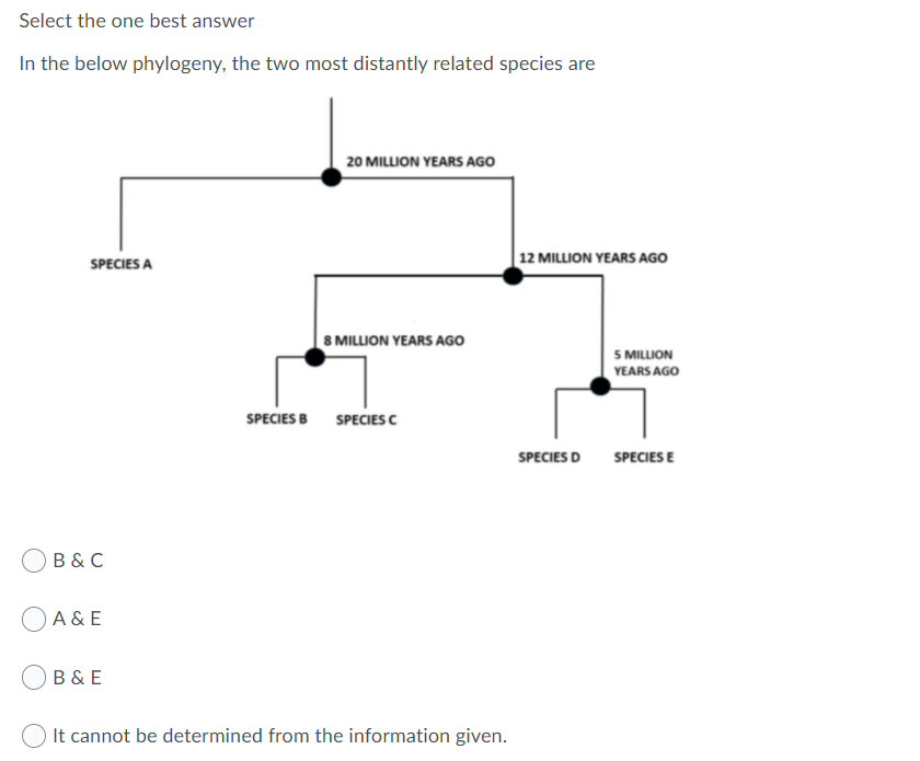 Solved Select The One Best Answer In The Below Phylogeny, | Chegg.com