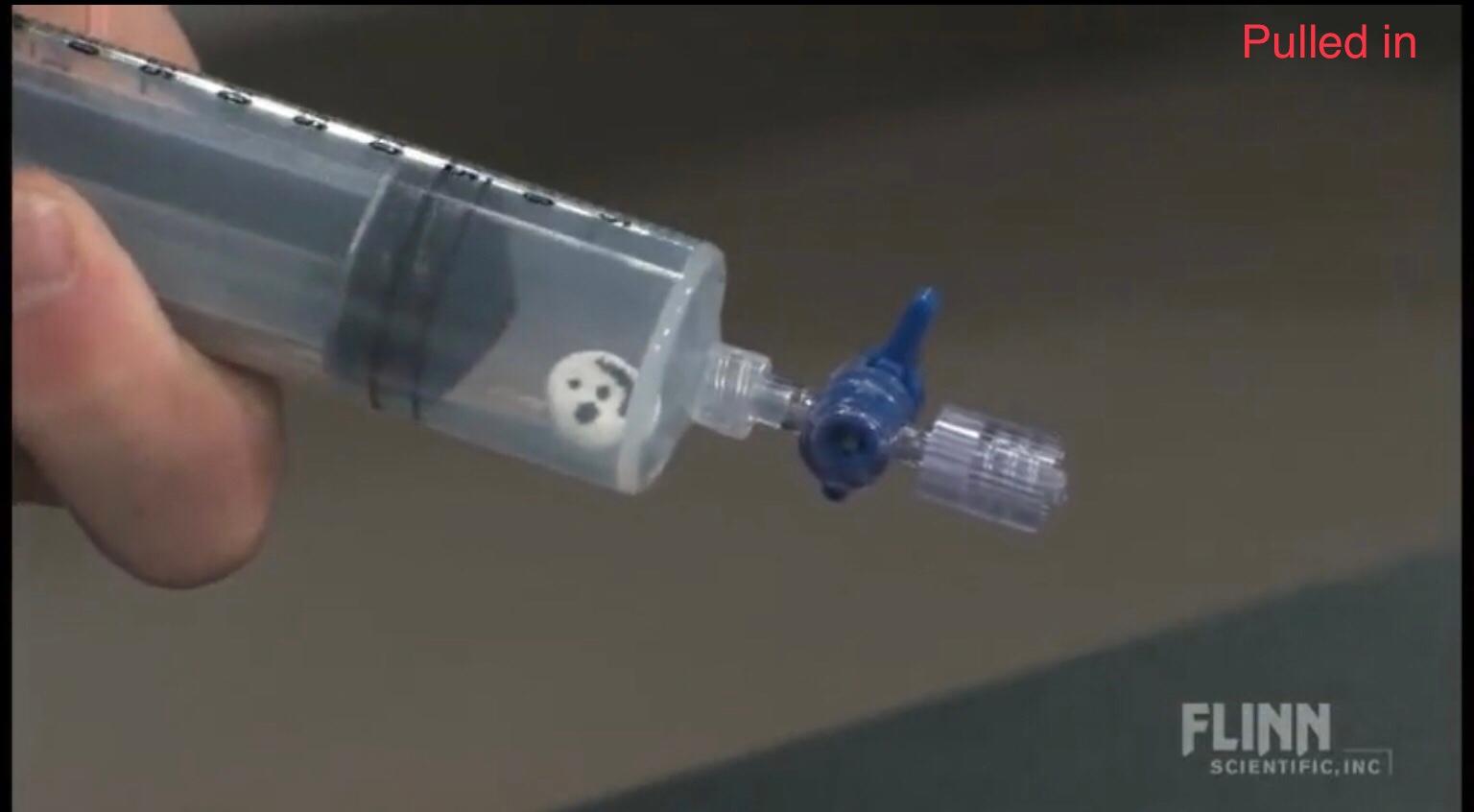 Solved * marshmallow and syring experiment 1. What