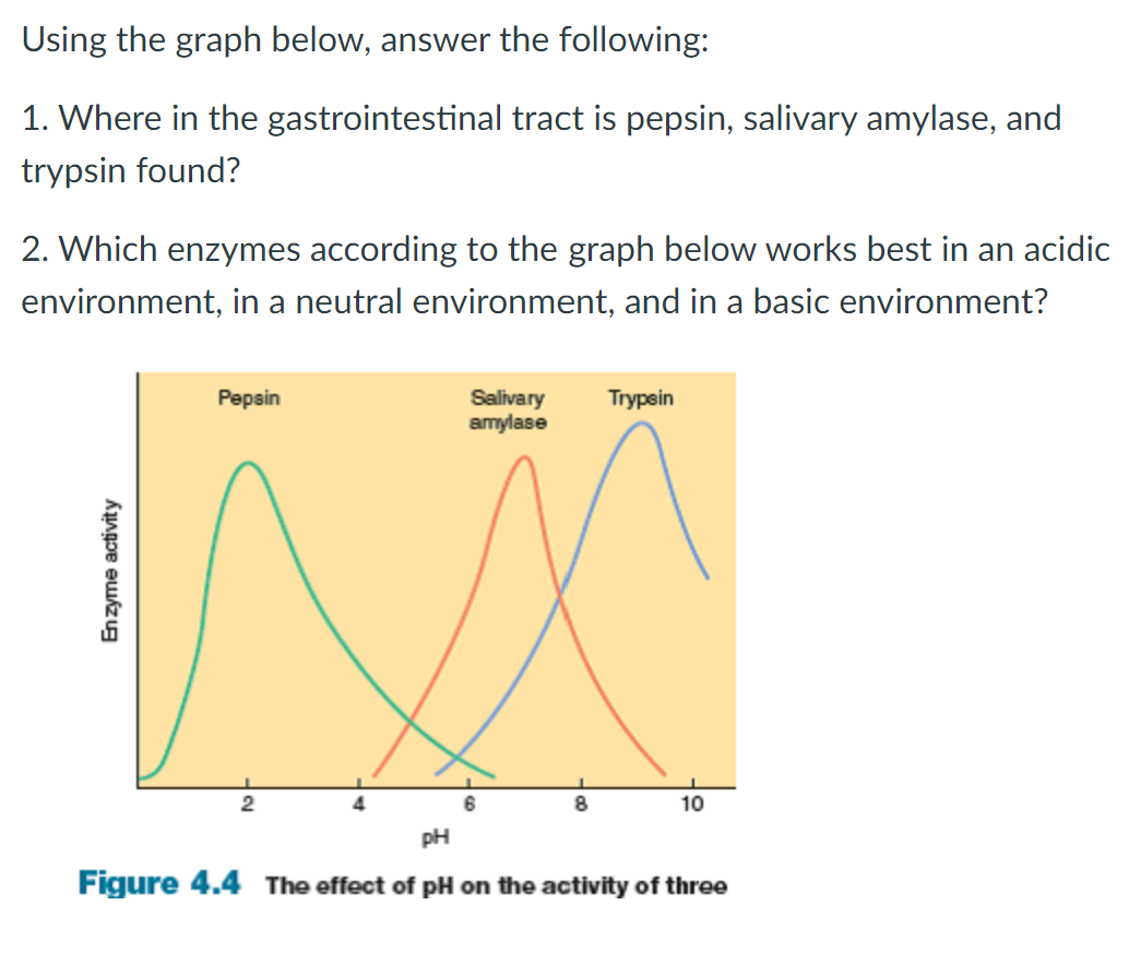 effect of ph on salivary amylase