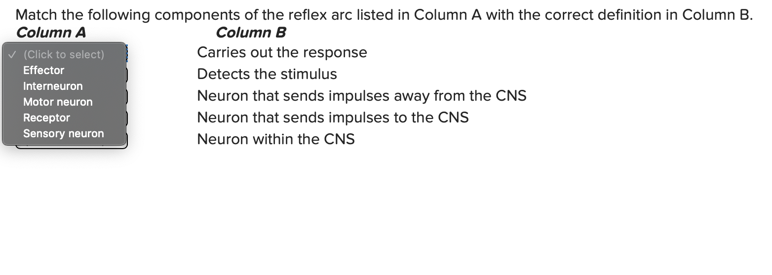 Solved Match the following components of the reflex arc | Chegg.com