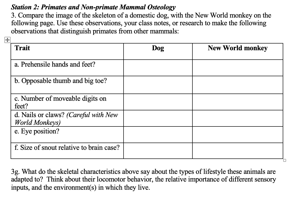 Station 2: Primates and Non-primate Mammal Osteology | Chegg.com