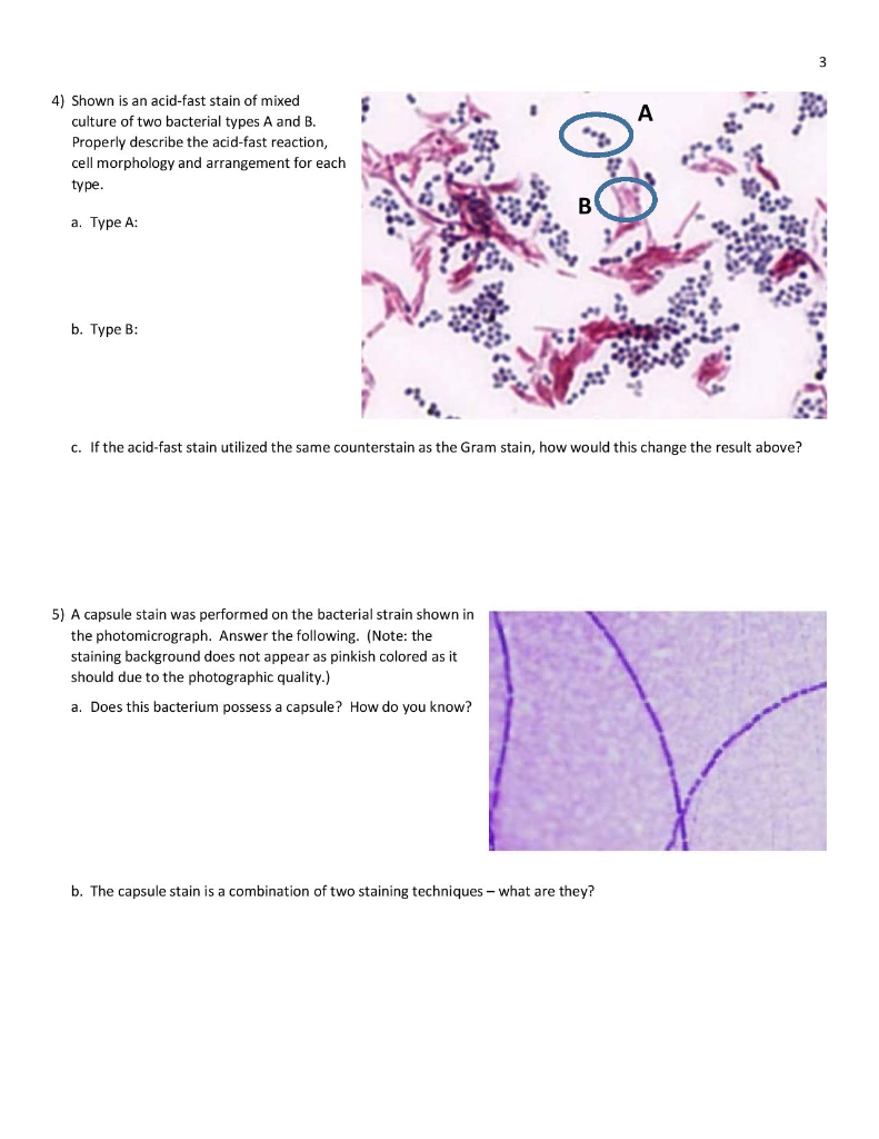 Solved Name TA/Lab Period: Lab 5 Handout Lab Exercises 3-6 & | Chegg.com