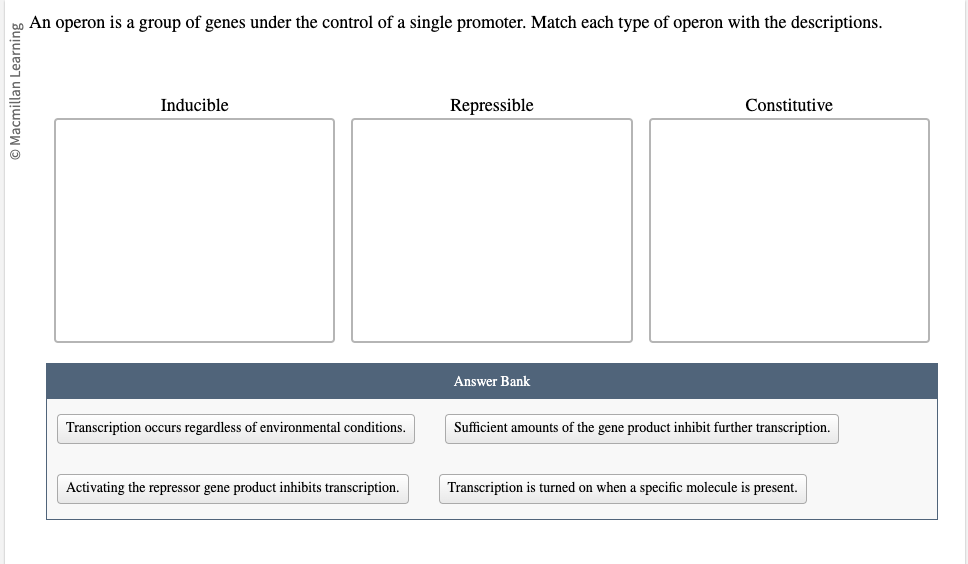 Solved An operon is a group of genes under the control of a | Chegg.com