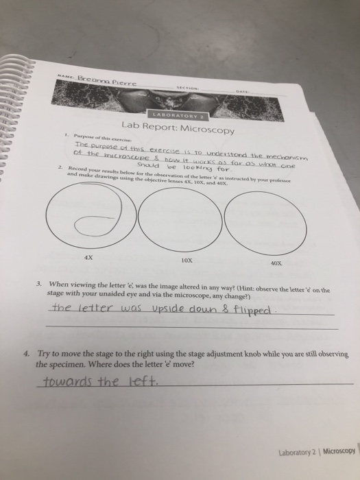 Letter E Microscope Lab Micropedia