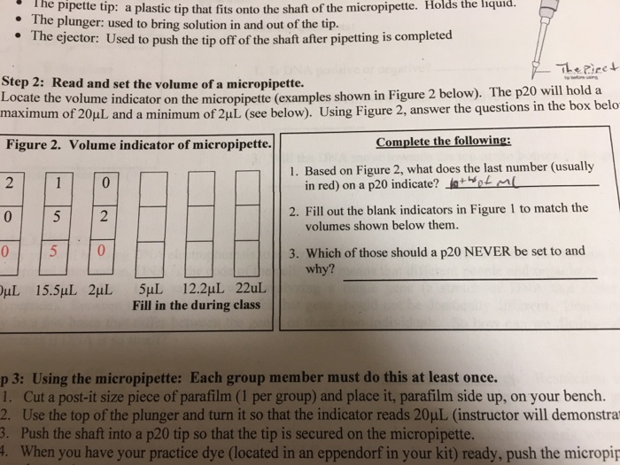 What Does A Micropipette Do