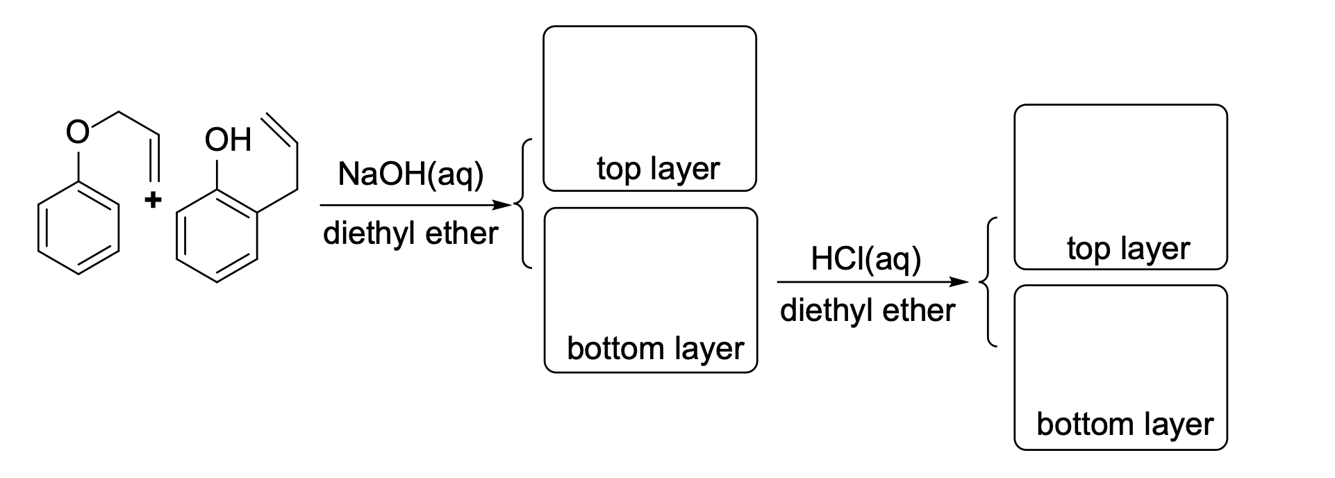 Solved OH top layer so NaOH(aq) diethyl ether top layer | Chegg.com