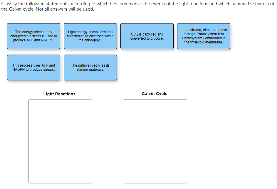 solved-classify-the-following-statements-according-to-which-chegg