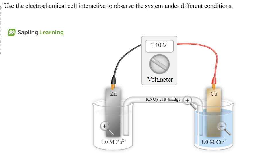 Solved Use the electrochemical cell interactive to observe | Chegg.com