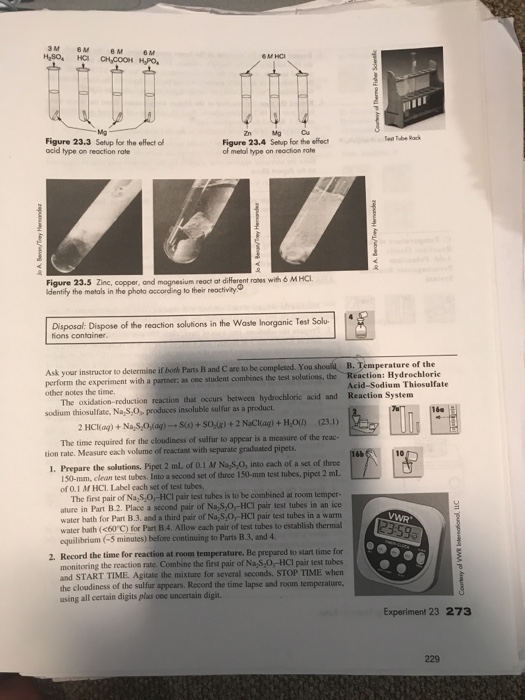 Solved Experiment 23 Factors Affecting Reaction Rates The | Chegg.com