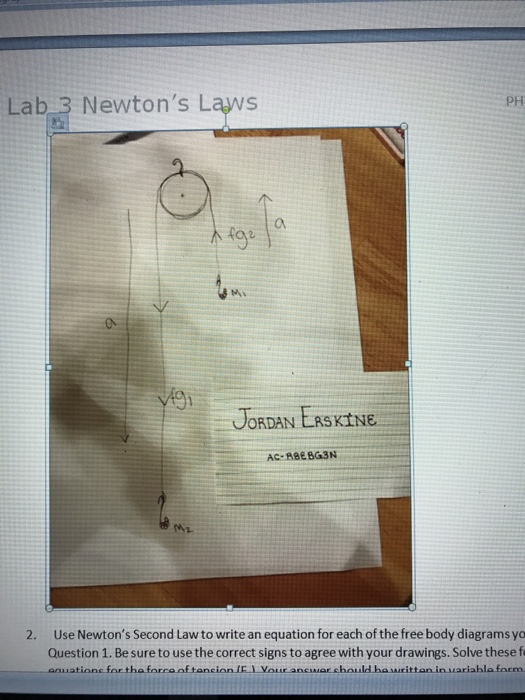Solved Lab +3 +Newton's +LawsMicrosoft word iew Addins