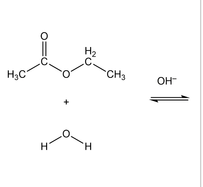 Solved Draw the products of the hydrolysis shown. Draw the | Chegg.com