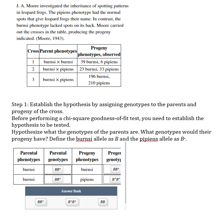 Solved J. A. Moore Investigated The Inheritance Of Spotting | Chegg.com