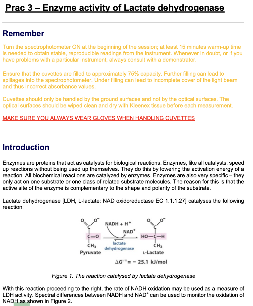 Solved Prac 3 Enzyme activity of Lactate dehydrogenase