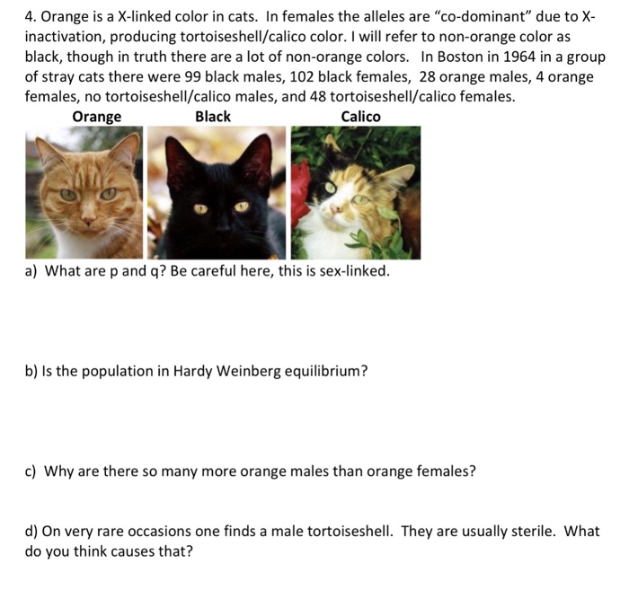Solved 4, Orange is a X-linked color in cats. In females the | Chegg.com