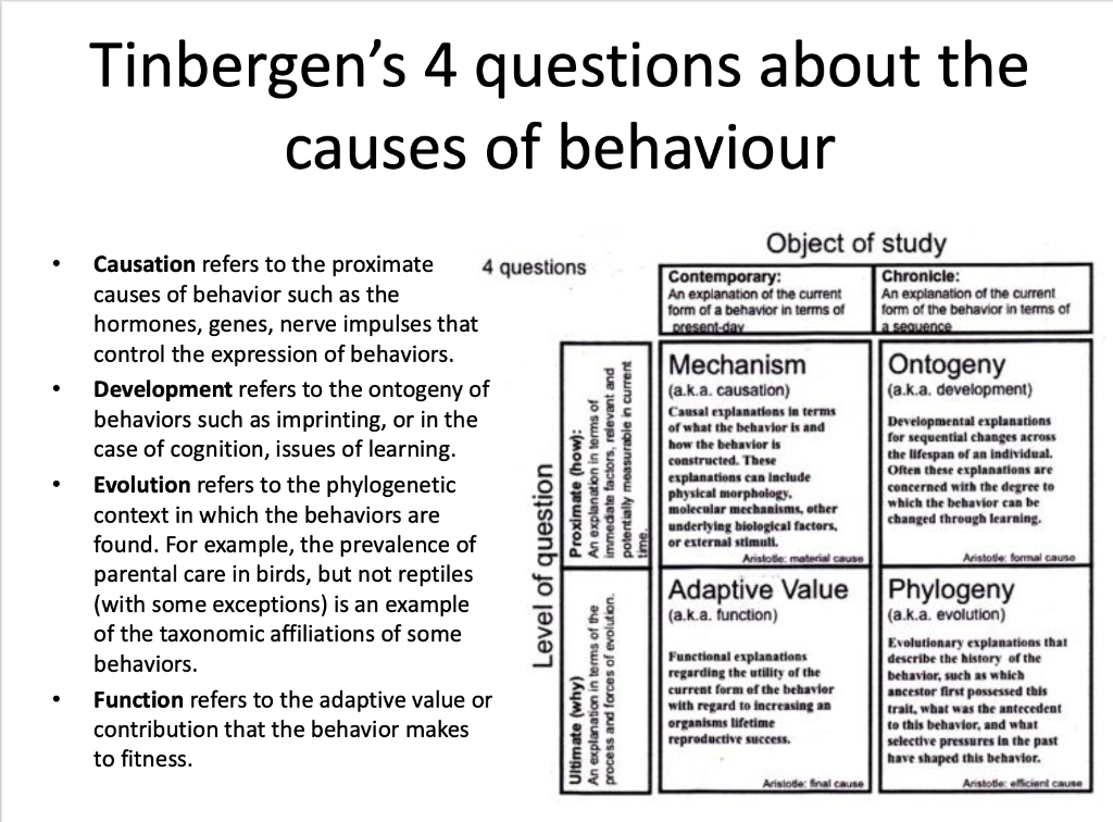 Solved Can anyone explain the photo to me? What is