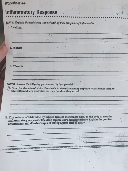 Body Tissues Worksheet Answers - Promotiontablecovers