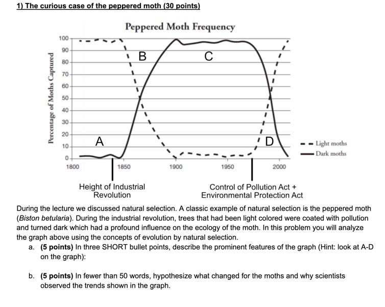 peppered moths evolution diagram