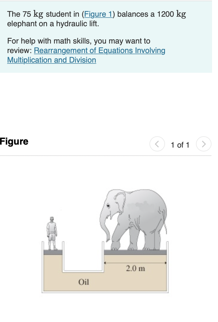 Solved When a second student joins the first, the height | Chegg.com