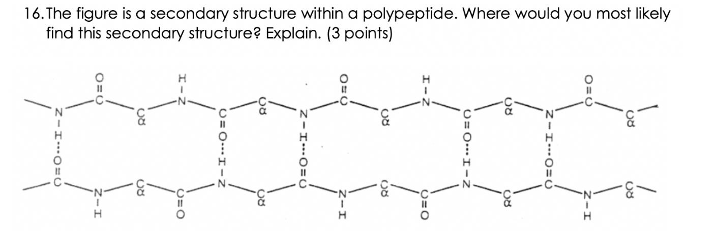 Solved 08 Z I Z I O O O I Z I Z O O 16 The Fig Chegg Com