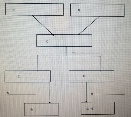 Solved Separation Tree Diagram Using the following words in | Chegg.com
