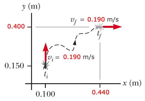 Solved An ant crawls on the floor along the curved path | Chegg.com