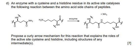 Solved d) An enzyme with a cysteine and a histidine residue | Chegg.com