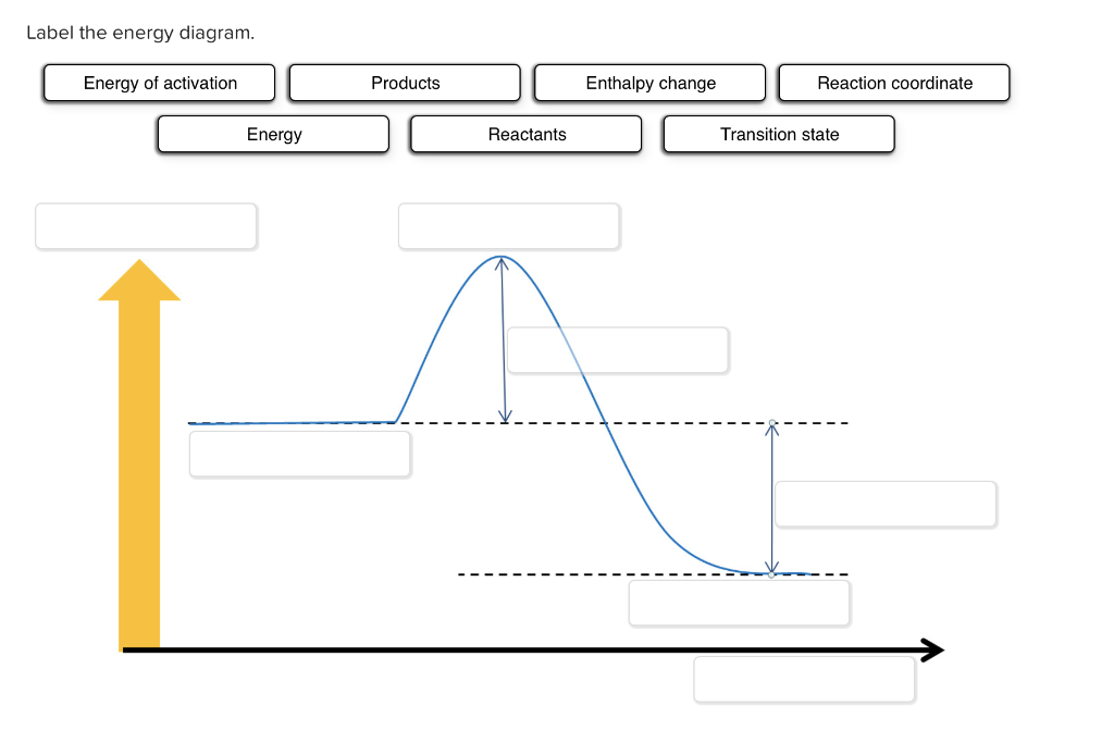 Labeled Energy Diagram