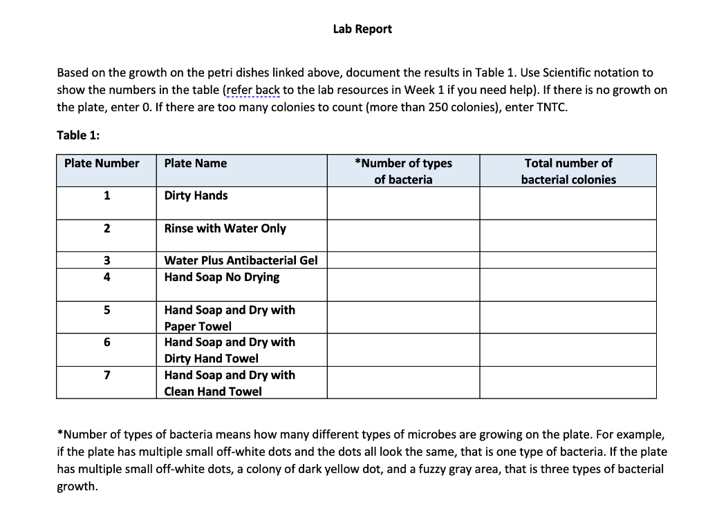 Solved Plate 1 Dirty Hands Plate 2 Hands rinsed with tap