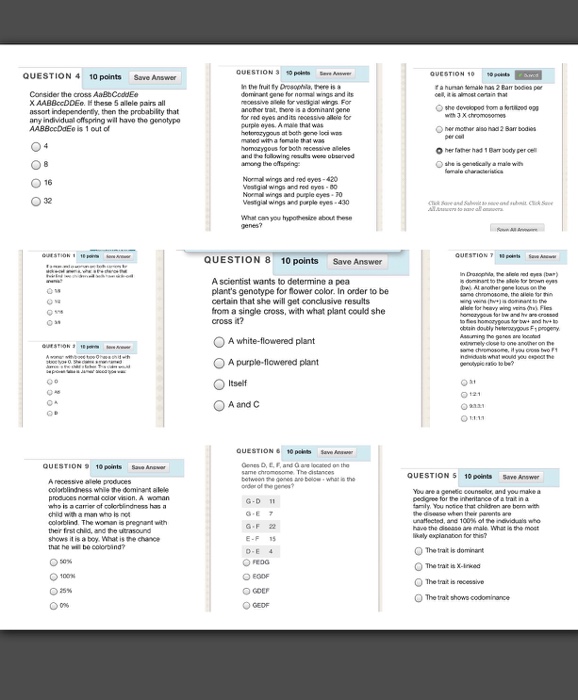 QUESTION 4 10 points Save Answer Consider the cross | Chegg.com