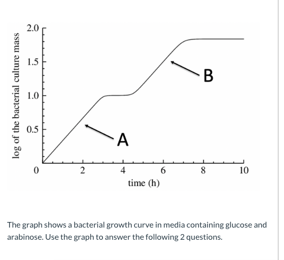 Solved Reference the bacterial growth curve above to answer | Chegg.com